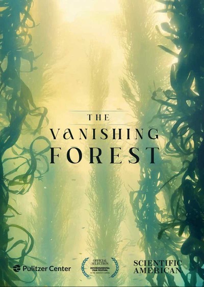 The Vanishing Forest still